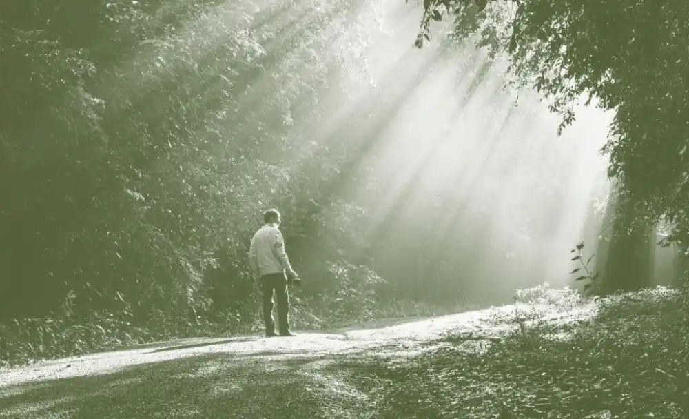 A man standing on a sunlit forest path as light breaks through the trees