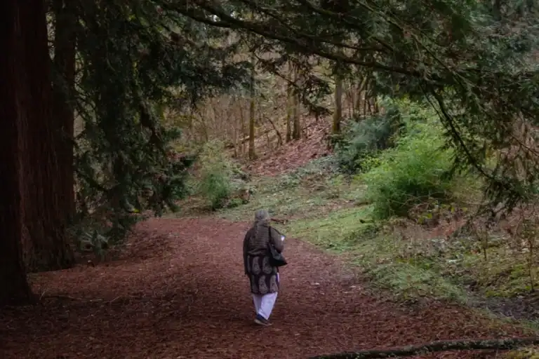 Person walking alone on a quiet forest path in the morning light
